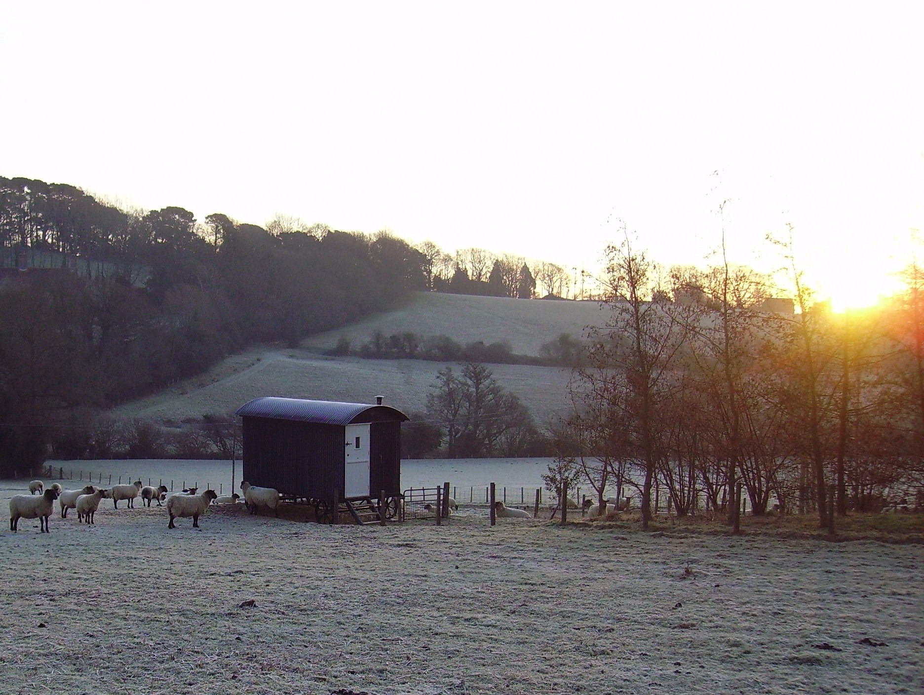 The Shepherd’s Hut is Ten