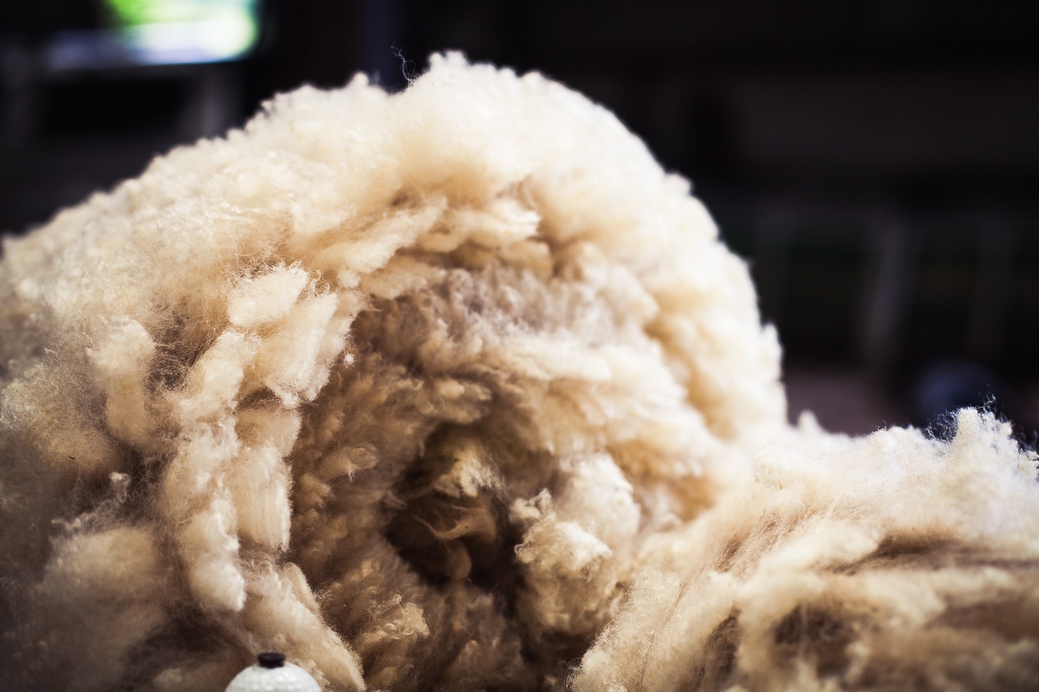 Shearing time